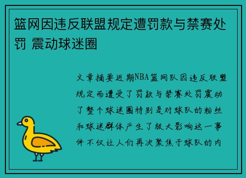 篮网因违反联盟规定遭罚款与禁赛处罚 震动球迷圈