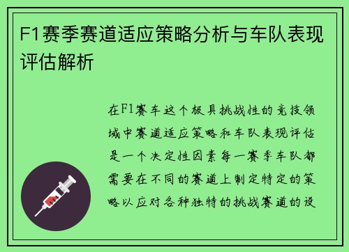 F1赛季赛道适应策略分析与车队表现评估解析