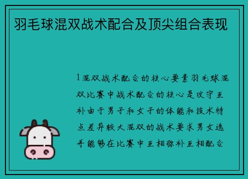 羽毛球混双战术配合及顶尖组合表现